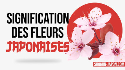 Hanakotoba: signification des Fleurs Japonaises