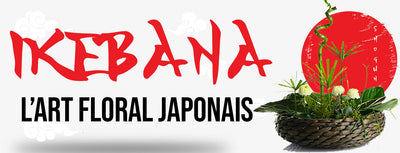 Ikebana : l'art floral Japonais