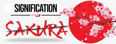 Sakura Japon : signification des fleurs de cerisiers